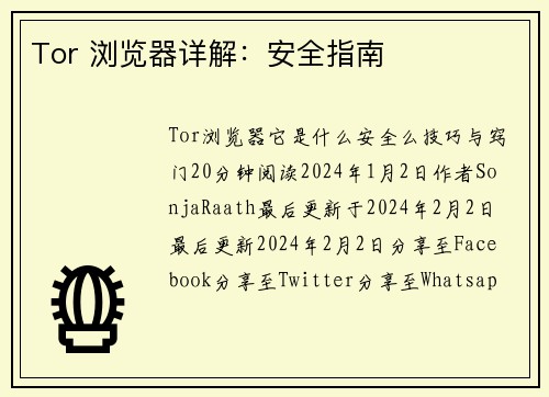 Tor 浏览器详解：安全指南 